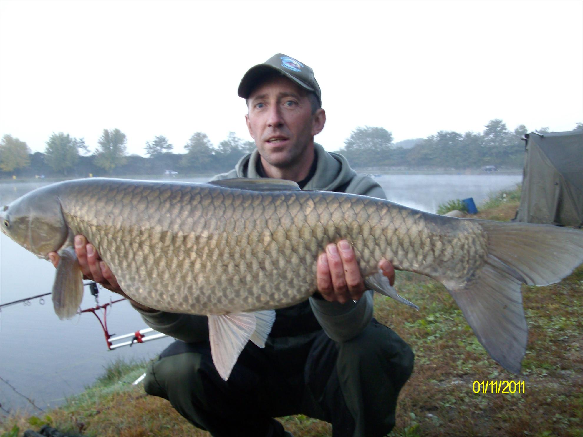 florian tanasa - alim0491.JPG